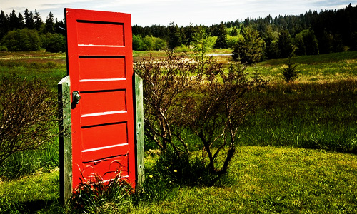how to have a better life alternate reality red door in a field