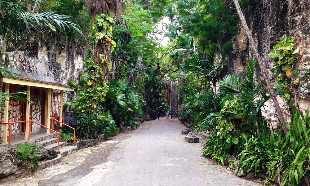 Approaching Queen's Staircase, all was looking picturesque and tropical.
