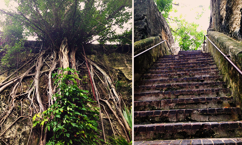 A stone wall topped by long-rooted and lush trees funnels visitors toward the steep Queen's Staircase