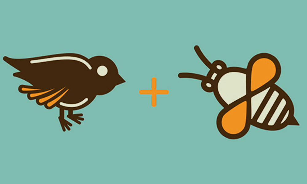 The Best Advice So Far - the birds and the bees / bird icon + bee icon