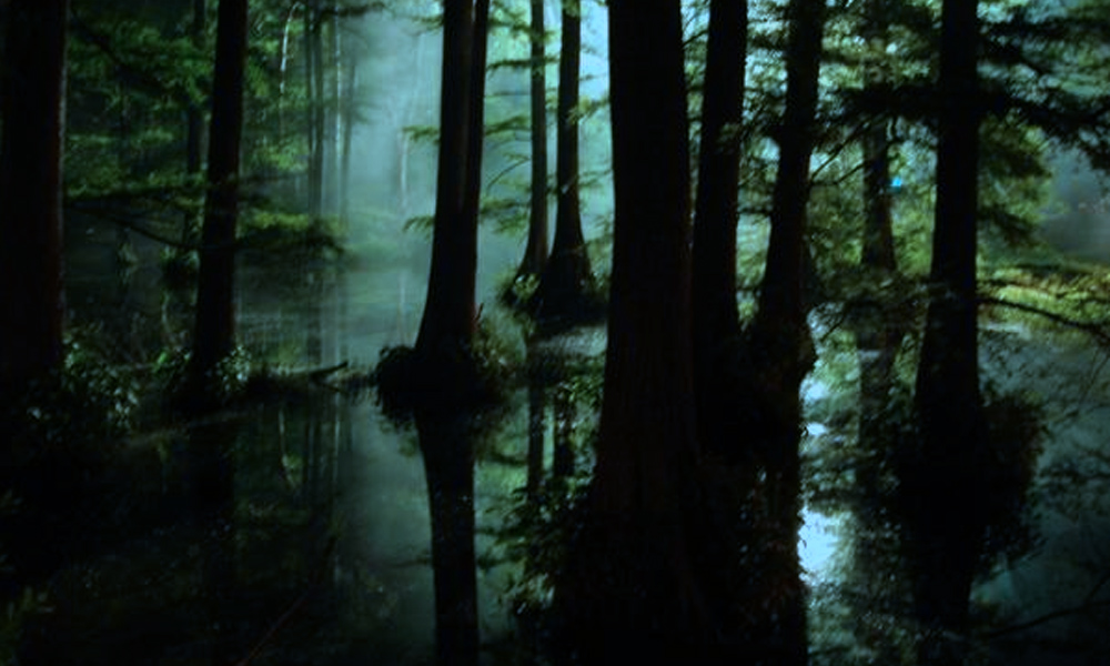 The Best Advice So Far - peepers - woodland wetlands in moonlight