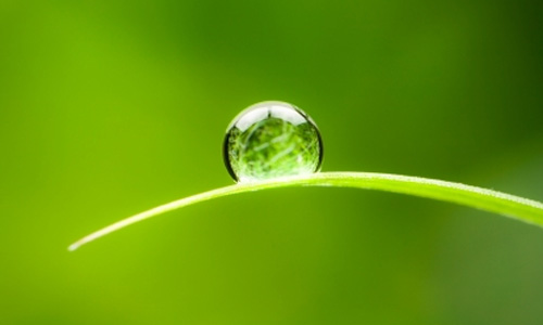 the basics - water droplet on blade of grass - The Best Advice So Far