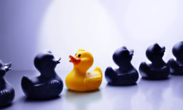 The Best Advice So Far - reverse - one yellow rubber ducky swimming the opposite direction in a line of black rubber ducks