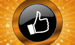 The Best Advice So Far - 100% approval rating