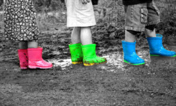 The Best Advice So Far - double take