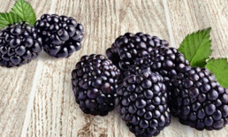 The Best Advice So Far - two and five