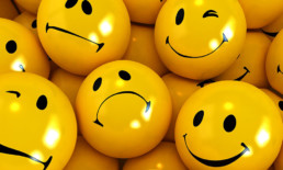 The Best Advice So Far - happy sad