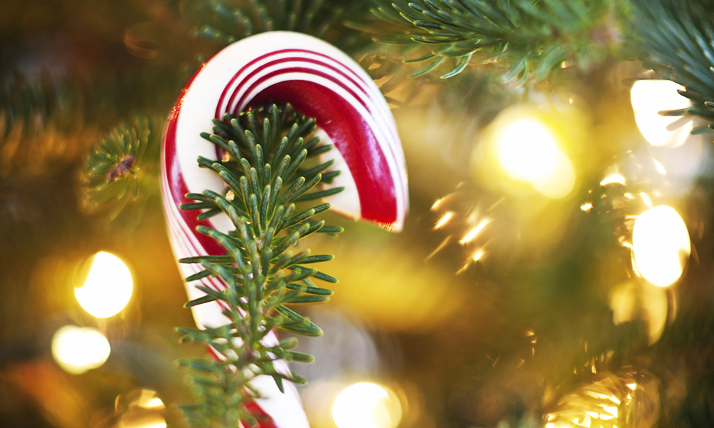 The Best Advice So Far - candy canes
